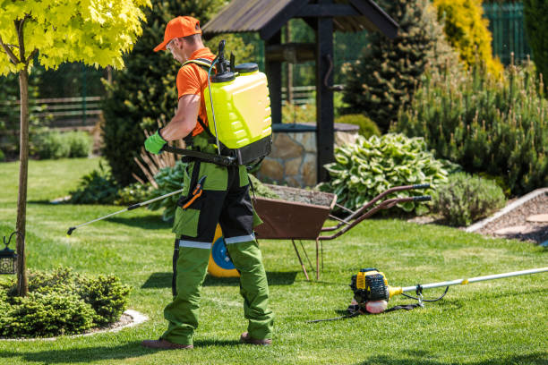 Professional Pest control in Damascus, OR